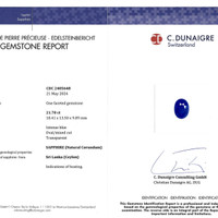 21.70 Ct. Blue Sapphire from Ceylon (Sri Lanka) Scan Report