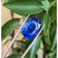 21.70 Ct. Blue Sapphire from Ceylon (Sri Lanka) Life Style
