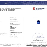 18.95 Ct. Blue Sapphire from Ceylon (Sri Lanka) Scan Report