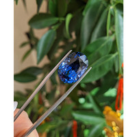 18.95 Ct. Blue Sapphire from Ceylon (Sri Lanka) Life Style