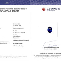 25.61 Ct. Blue Sapphire from Ceylon (Sri Lanka) Scan Report