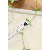 1.22 Ct. Blue Sapphire from Ceylon (Sri Lanka) Life Style