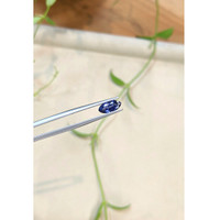1.52 Ct. Blue Sapphire from Ceylon (Sri Lanka) Life Style