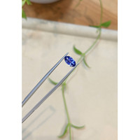 1.80 Ct. Blue Sapphire from Ceylon (Sri Lanka) Life Style