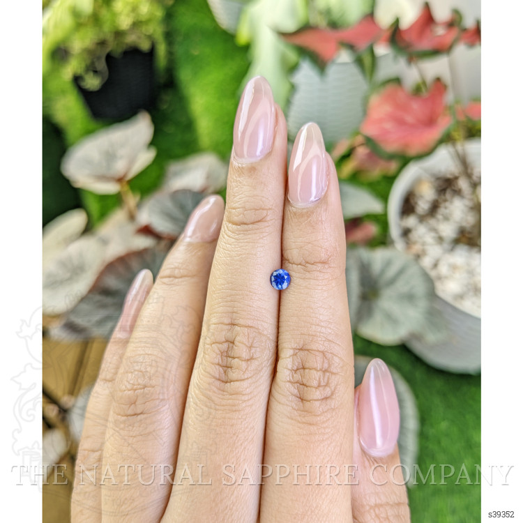 0.31 Ct. Blue Sapphire from Ceylon (Sri Lanka)