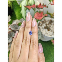 1.24 Ct. Violet Sapphire from Ceylon (Sri Lanka) Life Style