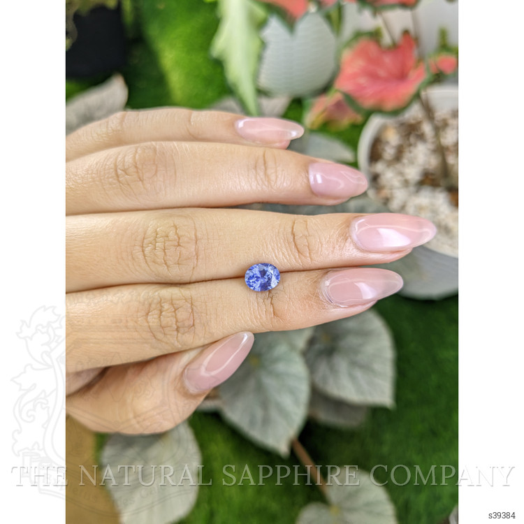 1.24 Ct. Violet Sapphire from Ceylon (Sri Lanka)