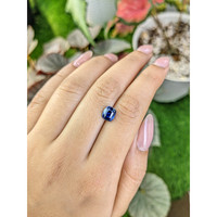 1.81 Ct. Blue Sapphire from Ceylon (Sri Lanka) Life Style