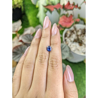 1.73 Ct. Blue Sapphire from Ceylon (Sri Lanka) Life Style