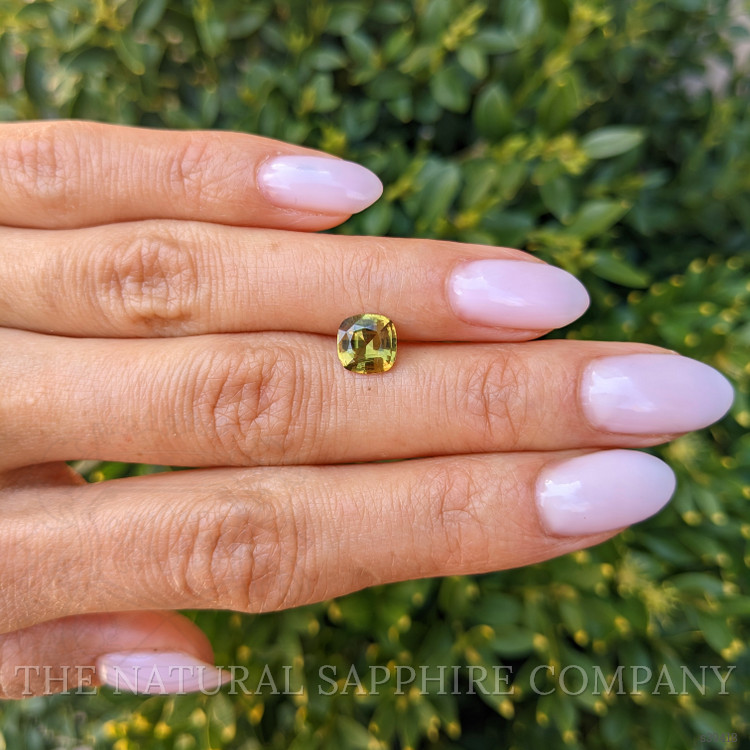 1.59 Ct. Yellowish Brown Sapphire from Ceylon (Sri Lanka)
