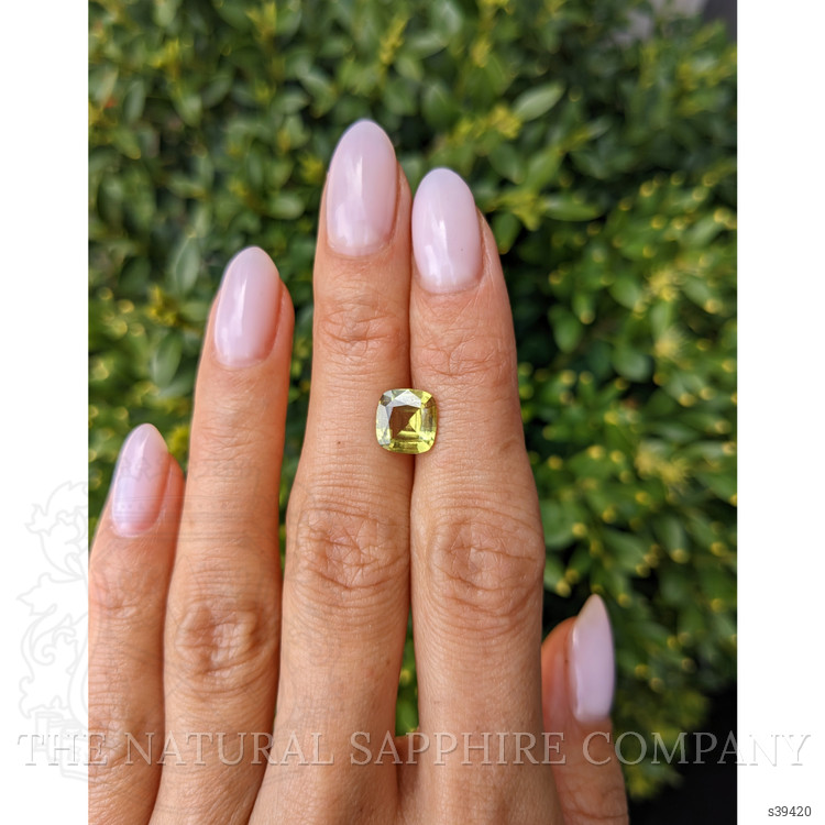 2.21 Ct. Yellowish Green Sapphire from Ceylon (Sri Lanka)