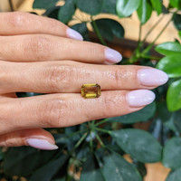 2.31 Ct. Yellowish Brown Sapphire from Ceylon (Sri Lanka) Life Style