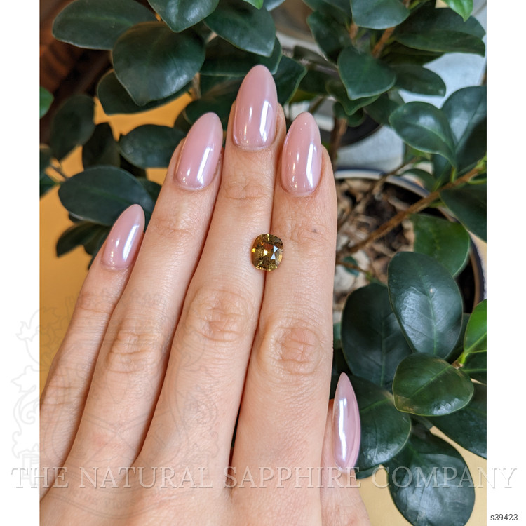 2.54 Ct. Yellowish Brown Sapphire from Ceylon (Sri Lanka)