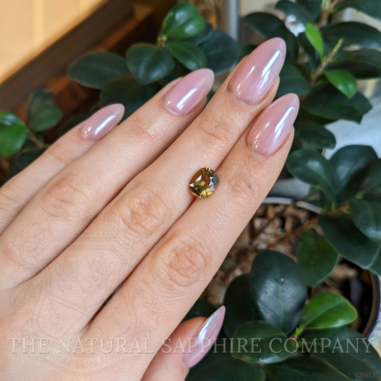 2.54 Ct. Yellowish Brown Sapphire from Ceylon (Sri Lanka)