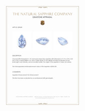 1.18 Ct. Blue Sapphire from Ceylon (Sri Lanka) Appraisal