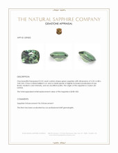 0.52 Ct. Green Sapphire from Ceylon (Sri Lanka) Appraisal
