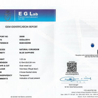 1.03 Ct. Blue Sapphire from Ceylon (Sri Lanka) Pdf