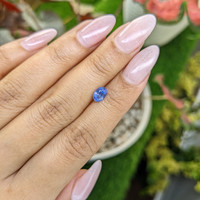 0.80 Ct. Blue Sapphire from Ceylon (Sri Lanka) Life Style