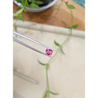 1.58 Ct. Pink Sapphire from Ceylon (Sri Lanka) Life Style