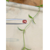 1.60 Ct. Padparadscha Sapphire from Ceylon (Sri Lanka) Life Style