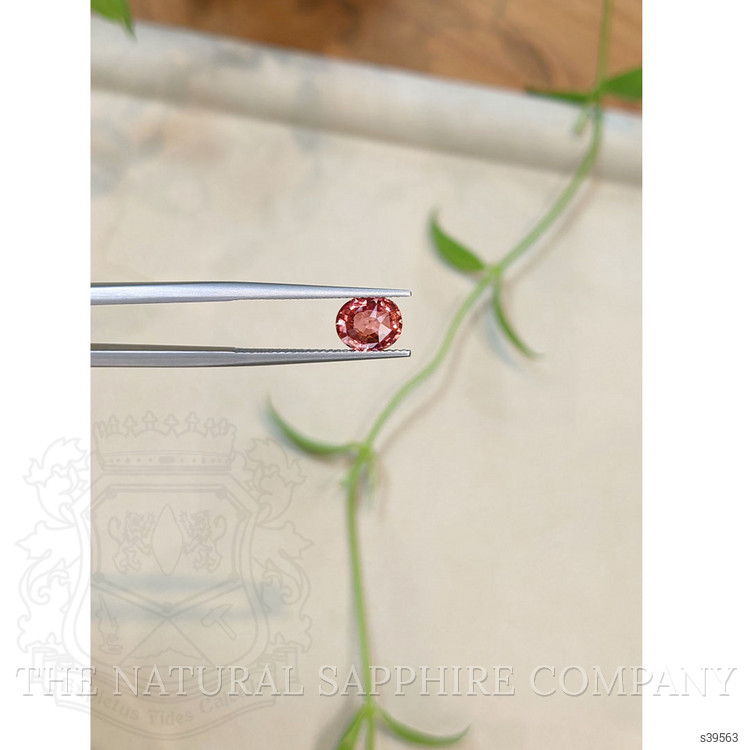 1.51 Ct. Reddish Pink Sapphire from Ceylon (Sri Lanka)