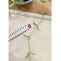 1.07 Ct. Reddish Pink Sapphire from Ceylon (Sri Lanka) Life Style