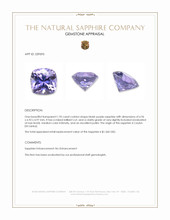 1.95 Ct. Bluish Purple Sapphire from Ceylon (Sri Lanka) Appraisal