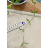 1.95 Ct. Bluish Purple Sapphire from Ceylon (Sri Lanka) Life Style