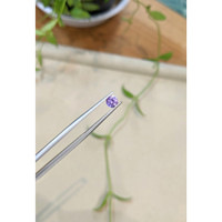 0.61 Ct. Purple Sapphire from Ceylon (Sri Lanka) Life Style