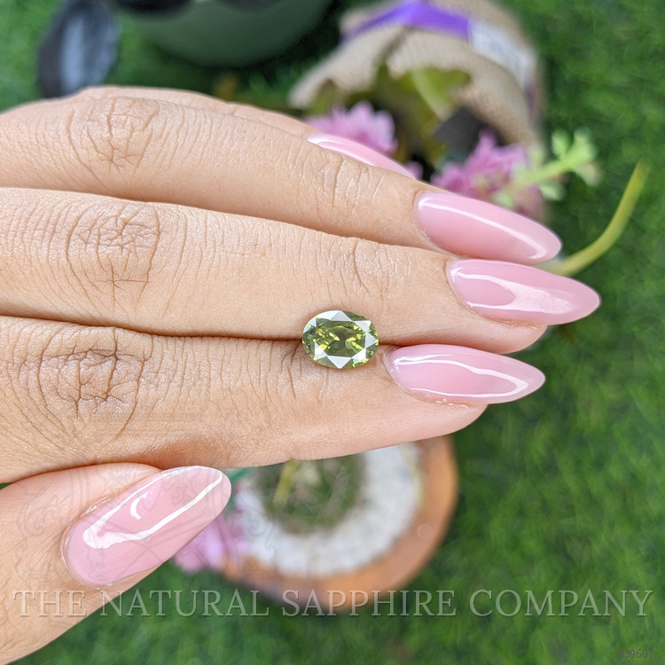 1.79 Ct. Yellowish Green Sapphire from Madagascar
