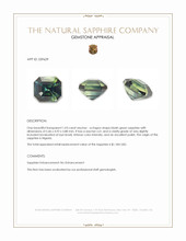 1.03 Ct. Bluish Green Sapphire from Nigeria Appraisal