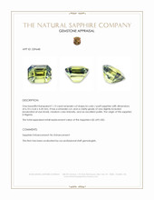1.13 Ct. Bi Color / Parti Sapphire from Nigeria Appraisal