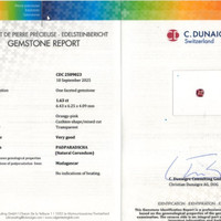 Jewelry Scan Report