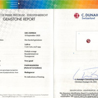 Jewelry Scan Report