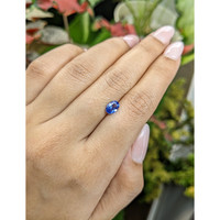 1.01 Ct. Blue Sapphire from Ceylon (Sri Lanka) Life Style