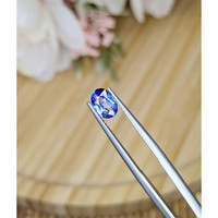 1.01 Ct. Blue Sapphire from Ceylon (Sri Lanka) Life Style