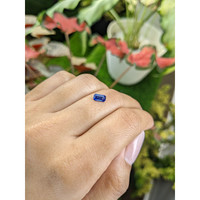 0.73 Ct. Blue Sapphire from Ceylon (Sri Lanka) Life Style