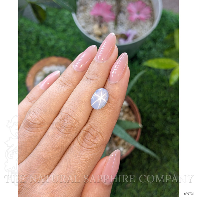 7.66 Ct. Bluish Grey Star Sapphire from Ceylon (Sri Lanka)