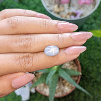 7.66 Ct. Bluish Grey Star Sapphire from Ceylon (Sri Lanka) Life Style