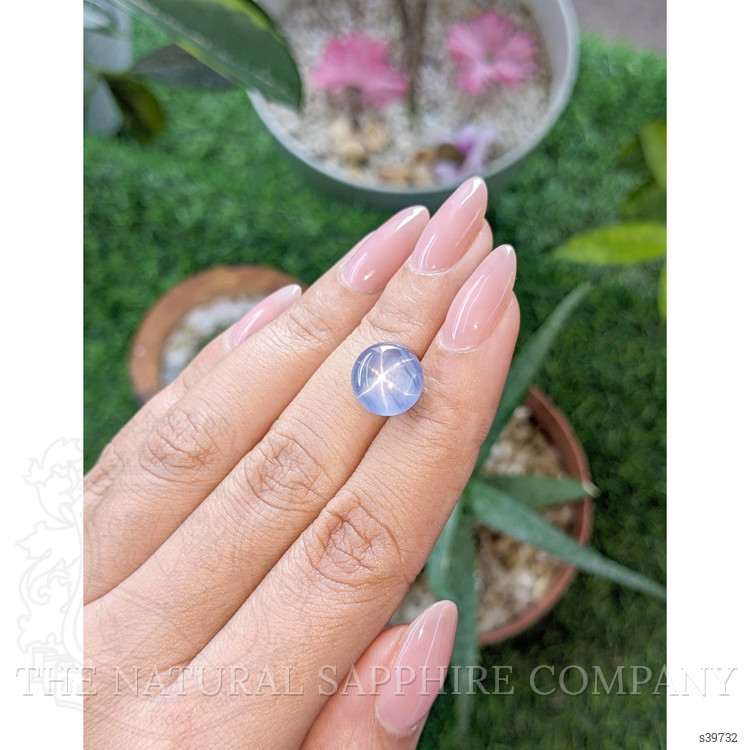 8.80 Ct. Blue Star Sapphire from Ceylon (Sri Lanka)