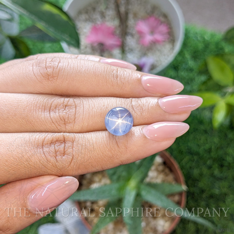 8.80 Ct. Blue Star Sapphire from Ceylon (Sri Lanka)