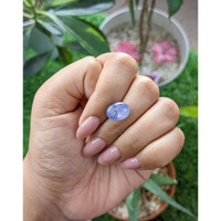 7.05 Ct. Bi Color Star Sapphire from Ceylon (Sri Lanka) Life Style