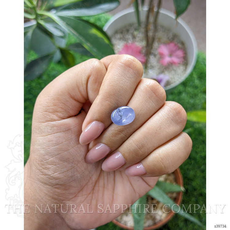 7.05 Ct. Bi Color Star Sapphire from Ceylon (Sri Lanka)