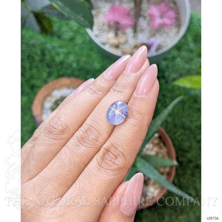 7.05 Ct. Bi Color Star Sapphire from Ceylon (Sri Lanka)