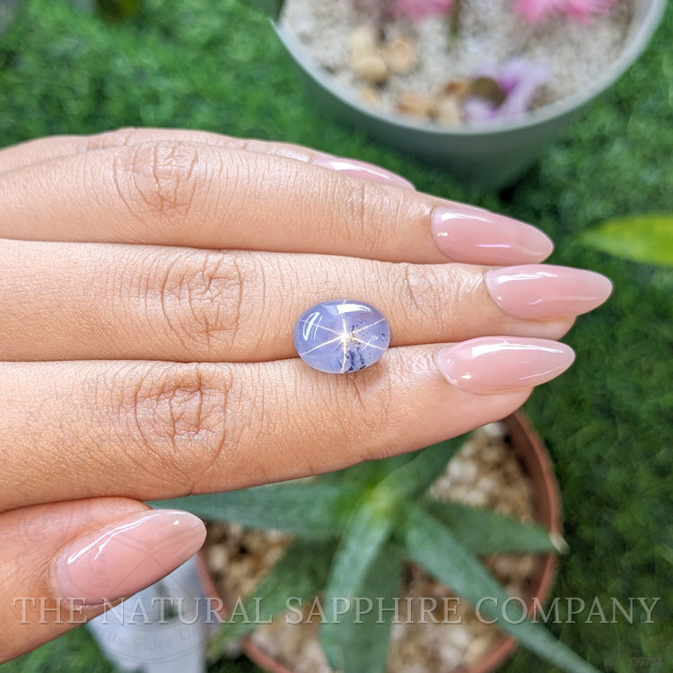 7.05 Ct. Bi Color Star Sapphire from Ceylon (Sri Lanka)