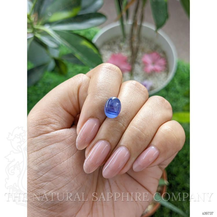 7.93 Ct. Blue Star Sapphire from Ceylon (Sri Lanka)