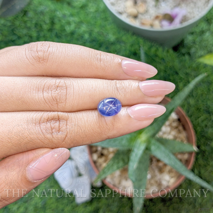 7.93 Ct. Blue Star Sapphire from Ceylon (Sri Lanka)