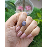 8.75 Ct. Bluish Grey Star Sapphire from Ceylon (Sri Lanka) Life Style