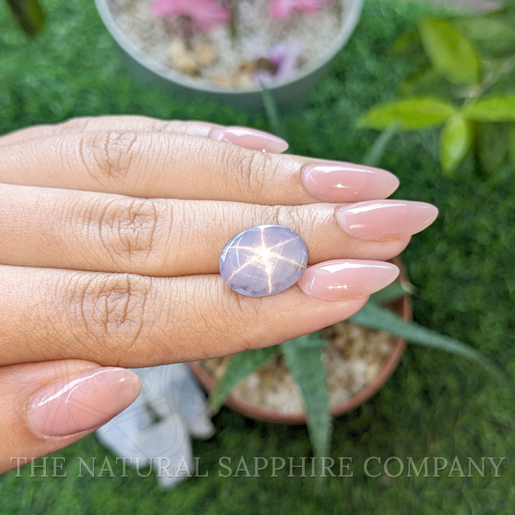 9.45 Ct. Purple Star Sapphire from Ceylon (Sri Lanka)