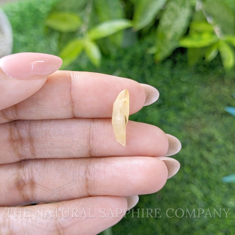 3.15 Ct. Yellow Sapphire from Ceylon (Sri Lanka)